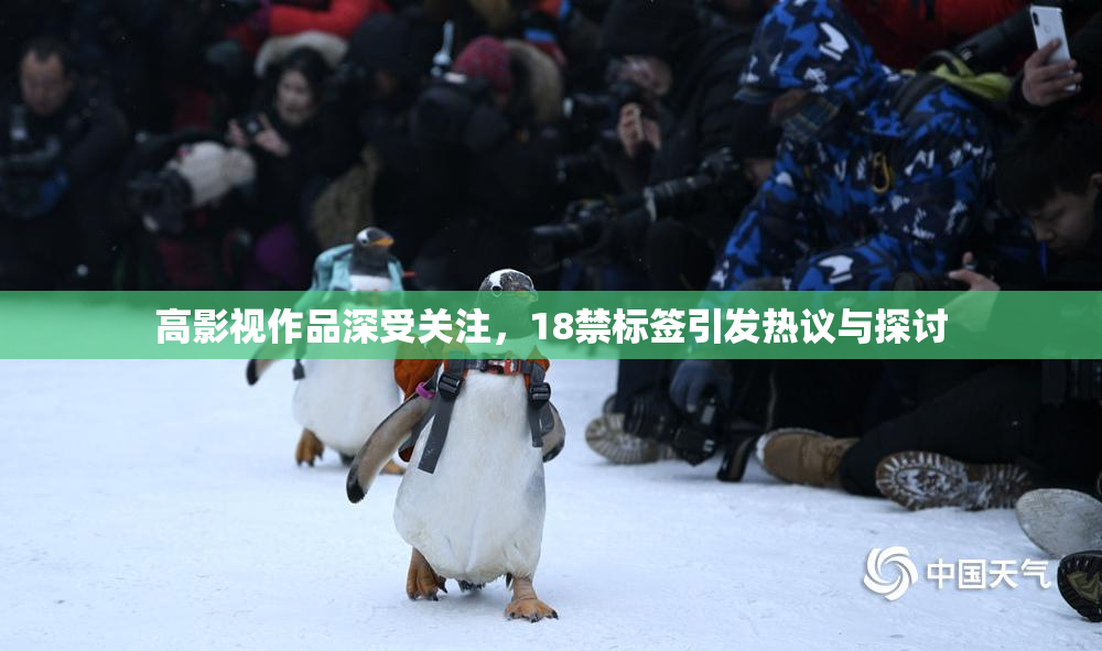 高影视作品深受关注，18禁标签引发热议与探讨