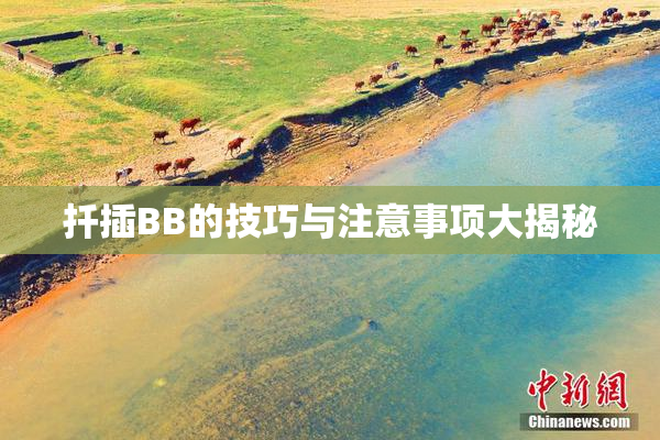 扦插BB的技巧与注意事项大揭秘