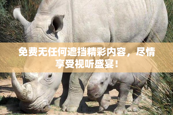 免费无任何遮挡精彩内容，尽情享受视听盛宴！