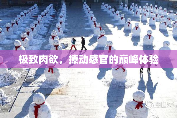 极致肉欲，撩动感官的巅峰体验