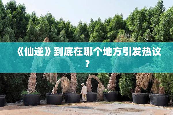 《仙逆》到底在哪个地方引发热议？