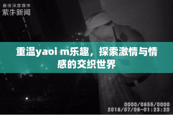 重温yaoi m乐趣，探索激情与情感的交织世界