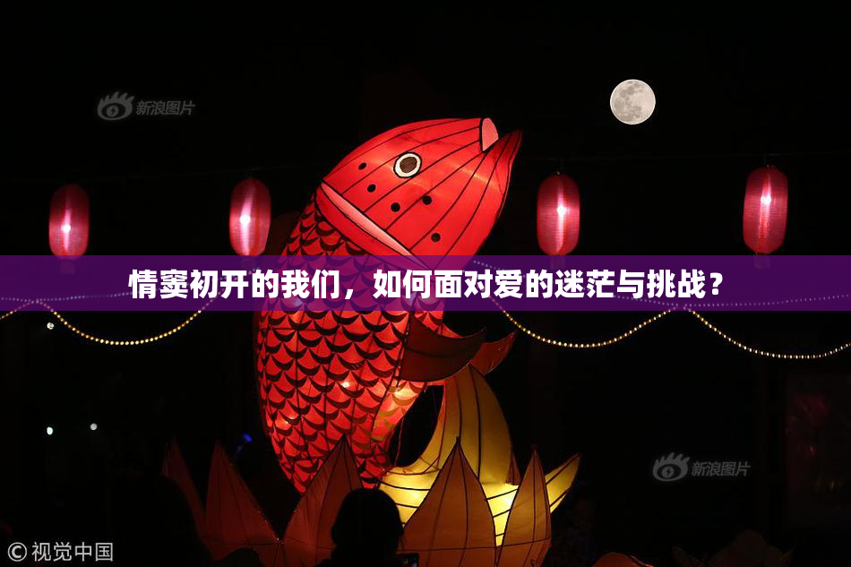 情窦初开的我们，如何面对爱的迷茫与挑战？