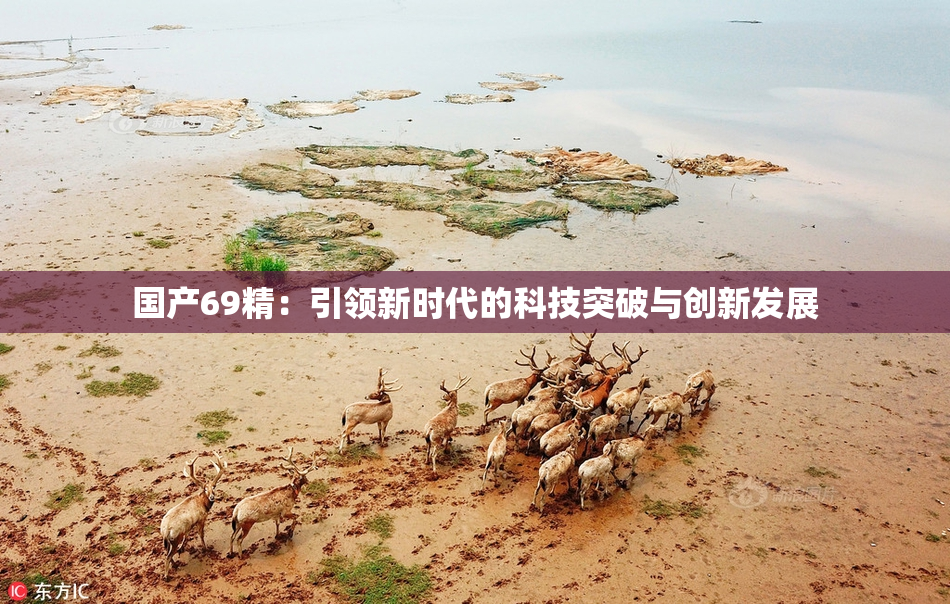 国产69精：引领新时代的科技突破与创新发展