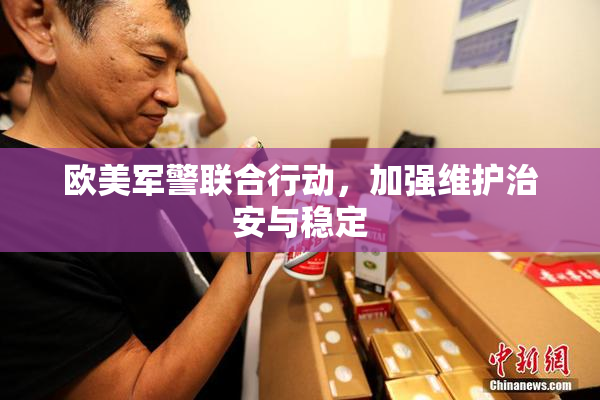 欧美军警联合行动，加强维护治安与稳定