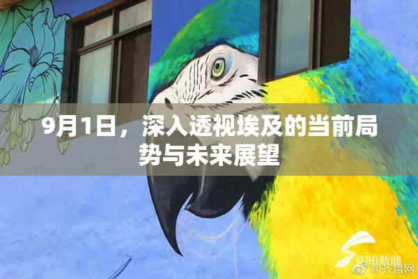 9月1日，深入透视埃及的当前局势与未来展望