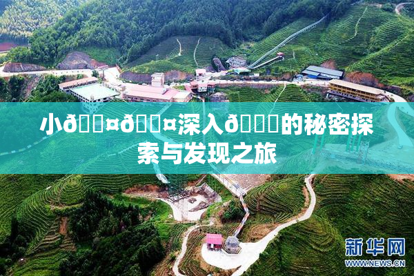小🐤🐤深入🍑的秘密探索与发现之旅