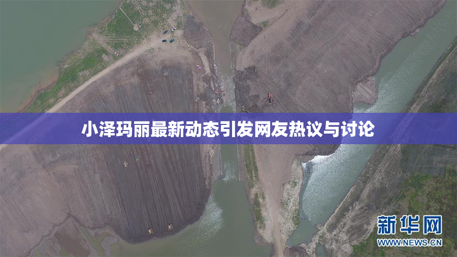 小泽玛丽最新动态引发网友热议与讨论