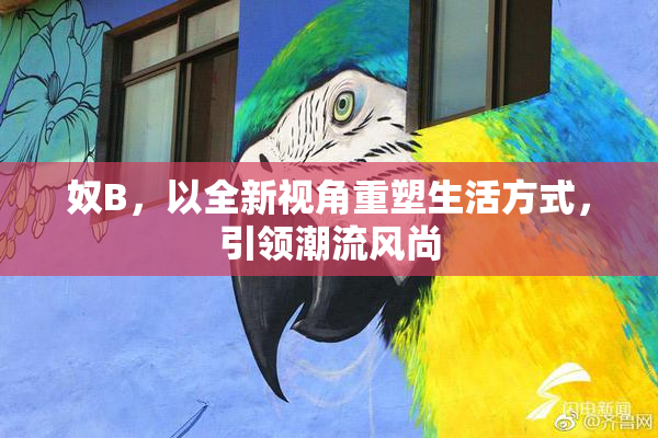 奴B，以全新视角重塑生活方式，引领潮流风尚