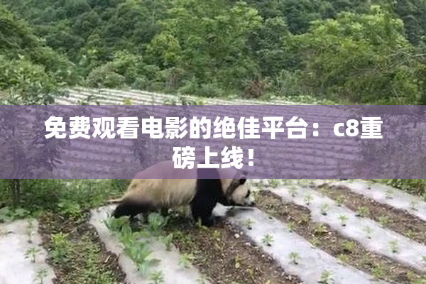免费观看电影的绝佳平台：c8重磅上线！