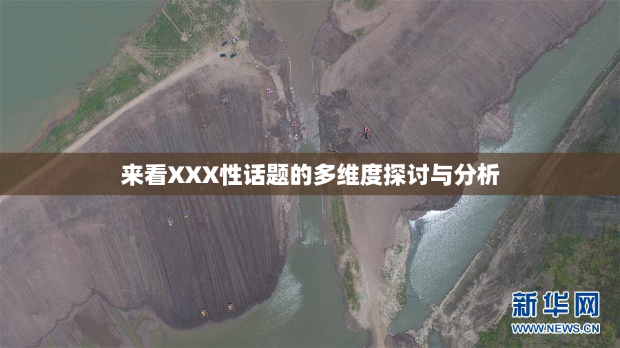 来看XXX性话题的多维度探讨与分析
