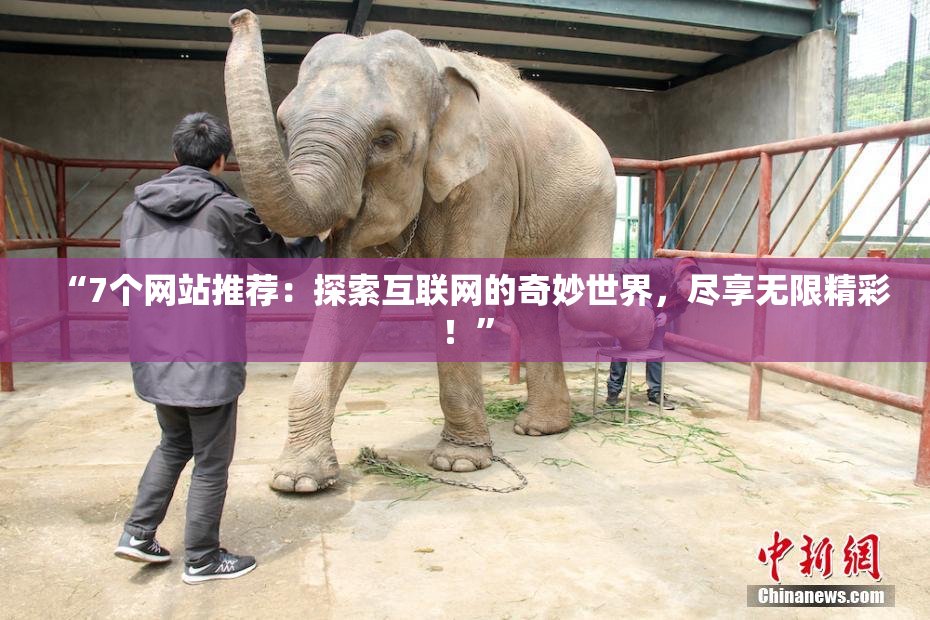 “7个网站推荐：探索互联网的奇妙世界，尽享无限精彩！”
