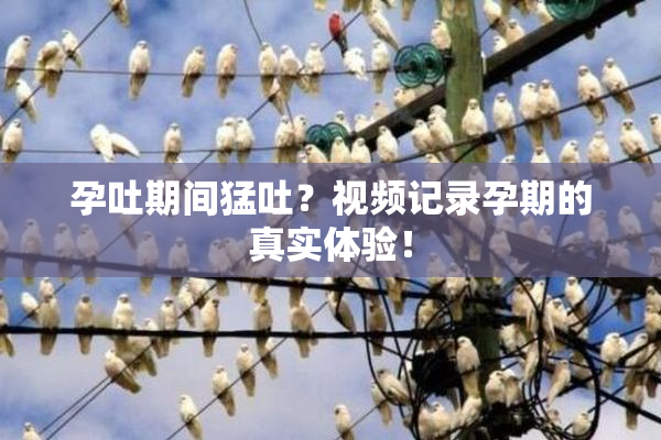 孕吐期间猛吐？视频记录孕期的真实体验！