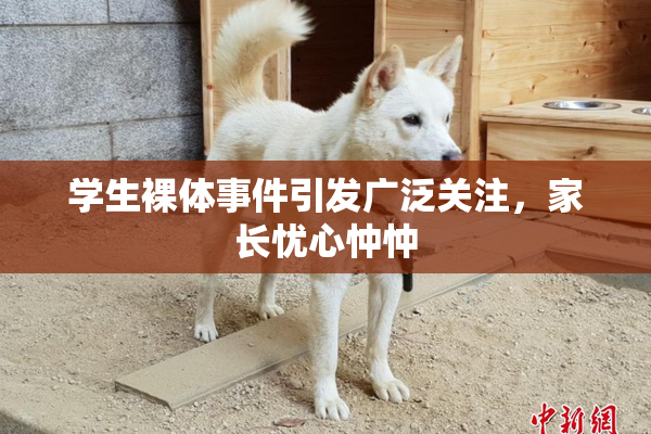 学生裸体事件引发广泛关注，家长忧心忡忡