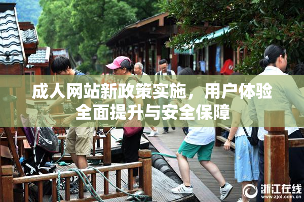 成人网站新政策实施，用户体验全面提升与安全保障