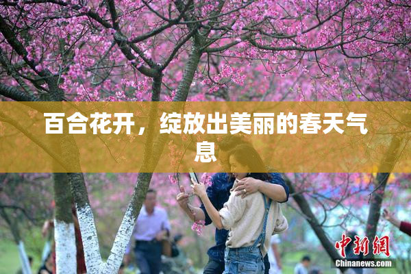 百合花开，绽放出美丽的春天气息