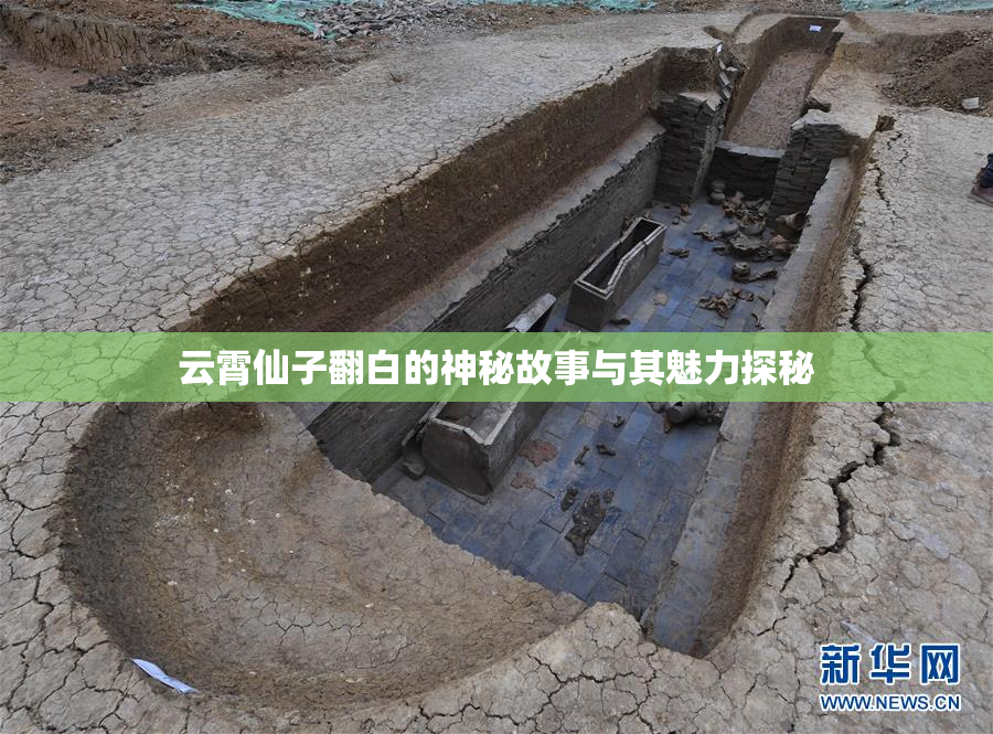 云霄仙子翻白的神秘故事与其魅力探秘