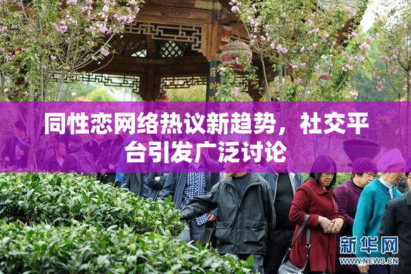 同性恋网络热议新趋势，社交平台引发广泛讨论