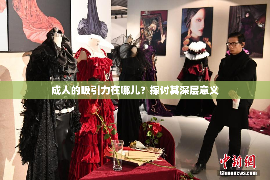 成人的吸引力在哪儿？探讨其深层意义