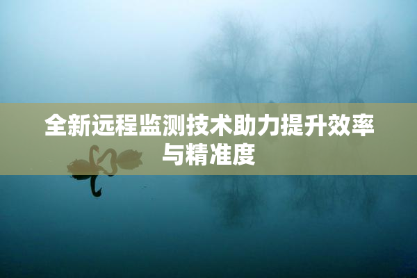 全新远程监测技术助力提升效率与精准度