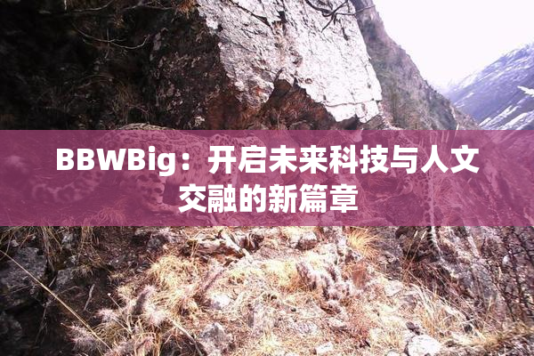 BBWBig：开启未来科技与人文交融的新篇章