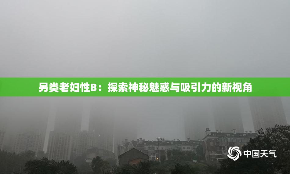 另类老妇性B：探索神秘魅惑与吸引力的新视角