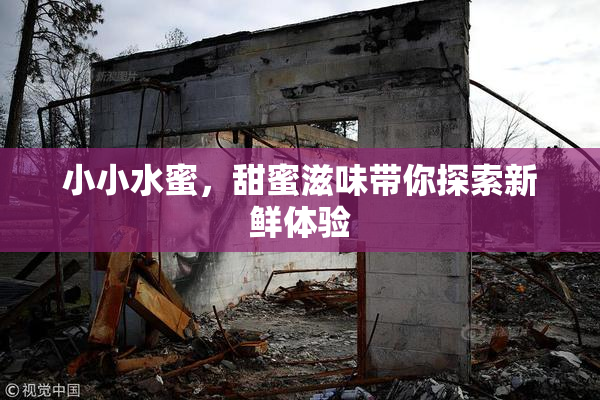 小小水蜜，甜蜜滋味带你探索新鲜体验