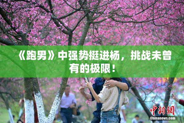 《跑男》中强势挺进杨，挑战未曾有的极限！