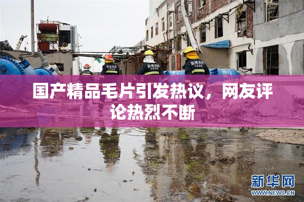 国产精品毛片引发热议，网友评论热烈不断