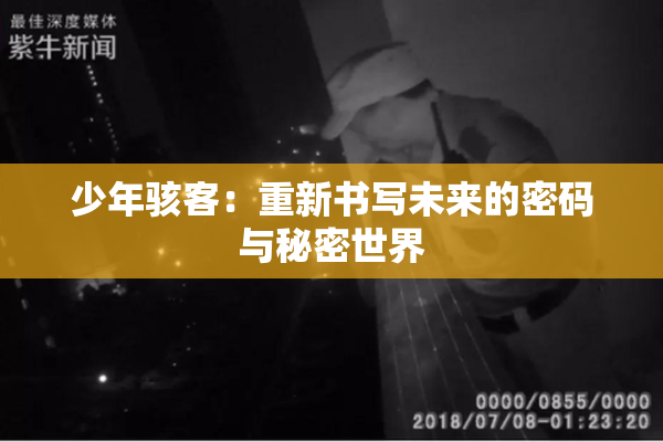 少年骇客：重新书写未来的密码与秘密世界