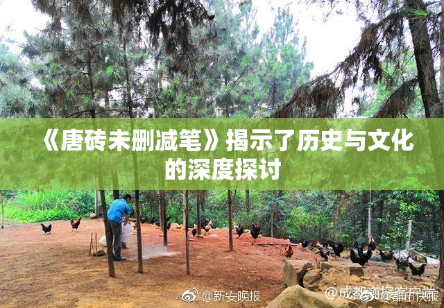 《唐砖未删减笔》揭示了历史与文化的深度探讨