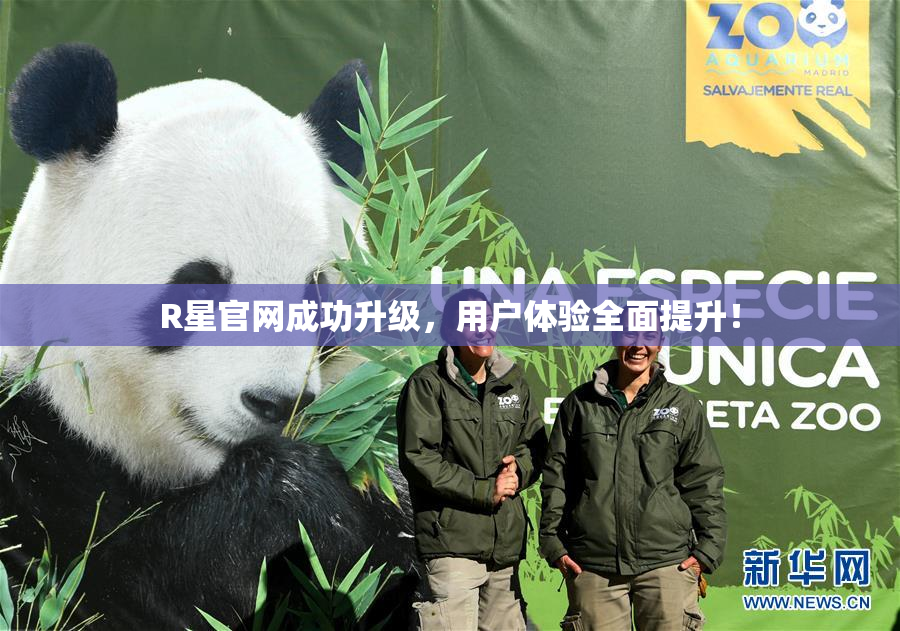 R星官网成功升级，用户体验全面提升！