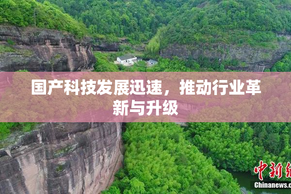 国产科技发展迅速，推动行业革新与升级