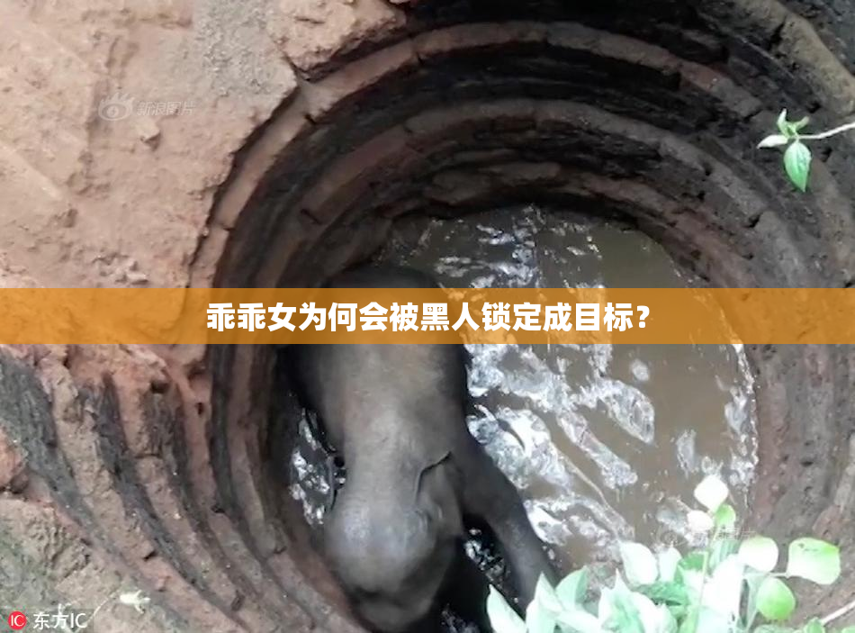 乖乖女为何会被黑人锁定成目标？