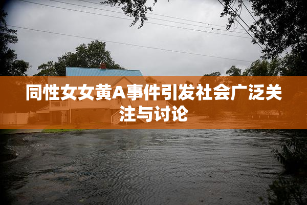 同性女女黄A事件引发社会广泛关注与讨论