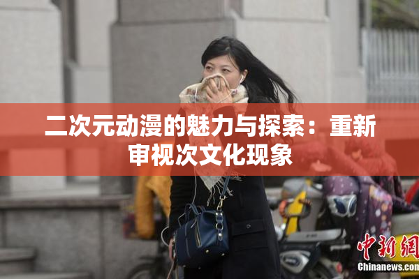 二次元动漫的魅力与探索：重新审视次文化现象