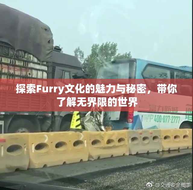 探索Furry文化的魅力与秘密，带你了解无界限的世界