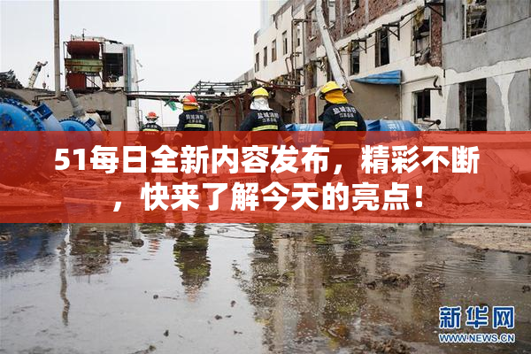 51每日全新内容发布，精彩不断，快来了解今天的亮点！