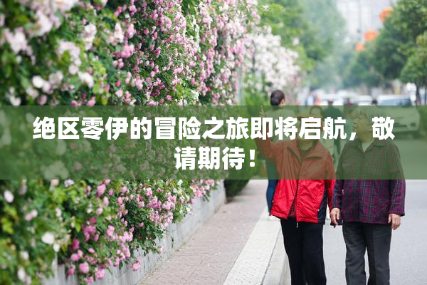 绝区零伊的冒险之旅即将启航，敬请期待！