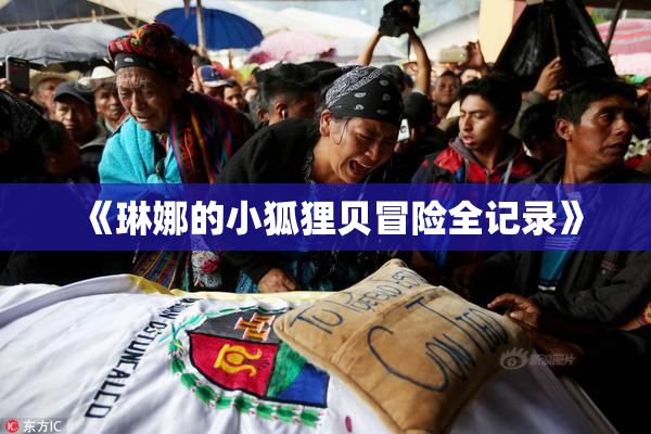 《琳娜的小狐狸贝冒险全记录》