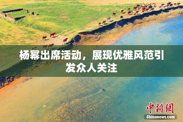 杨幂出席活动，展现优雅风范引发众人关注