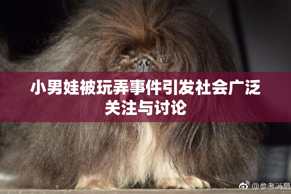 小男娃被玩弄事件引发社会广泛关注与讨论