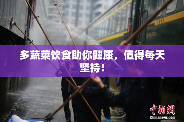 多蔬菜饮食助你健康，值得每天坚持！