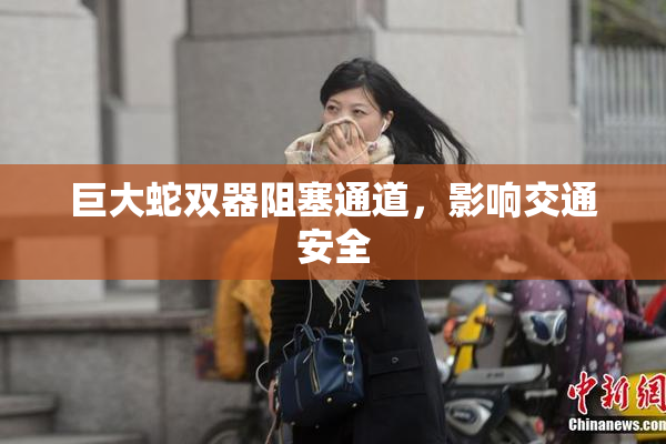 巨大蛇双器阻塞通道，影响交通安全
