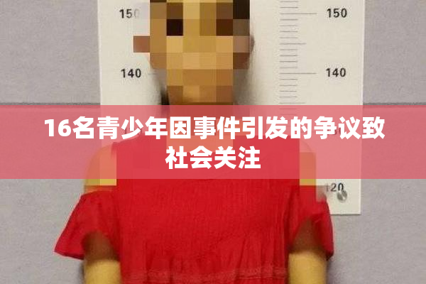 16名青少年因事件引发的争议致社会关注