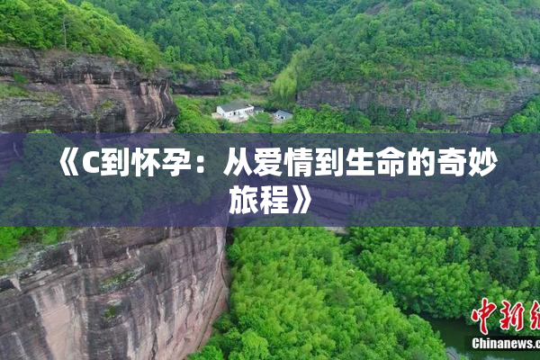 《C到怀孕：从爱情到生命的奇妙旅程》