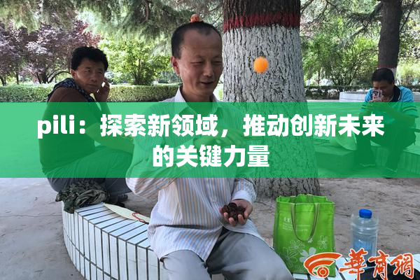 pili：探索新领域，推动创新未来的关键力量