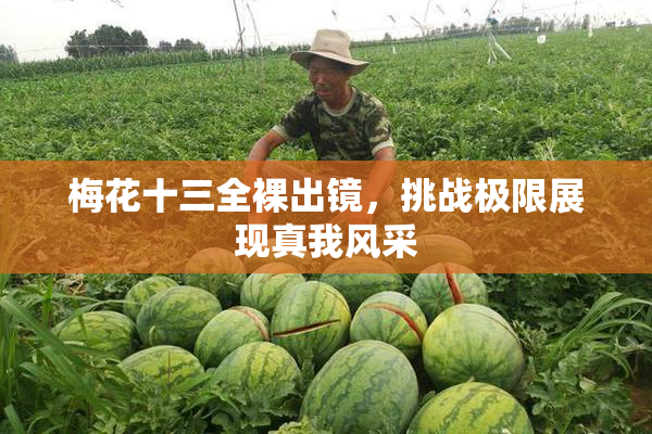 梅花十三全裸出镜，挑战极限展现真我风采