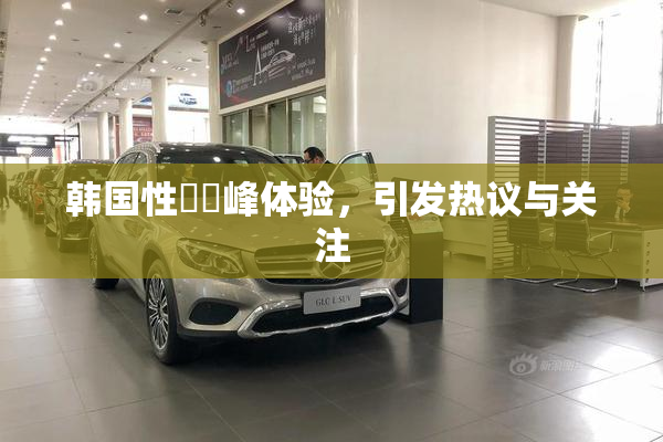 韩国性愛巔峰体验，引发热议与关注