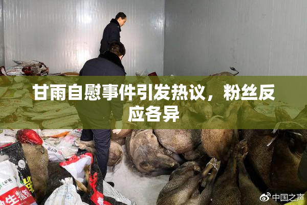 甘雨自慰事件引发热议，粉丝反应各异